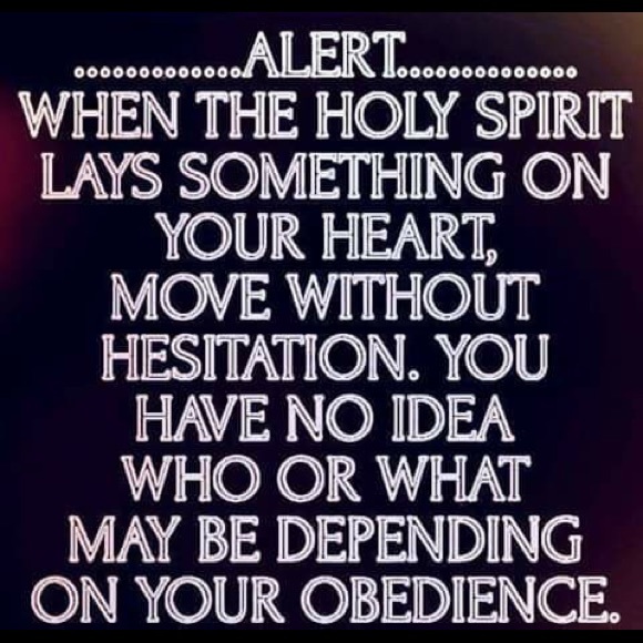 Meet your Posher, Trisha - Picture 4 of 4